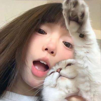 完美配对谋杀案